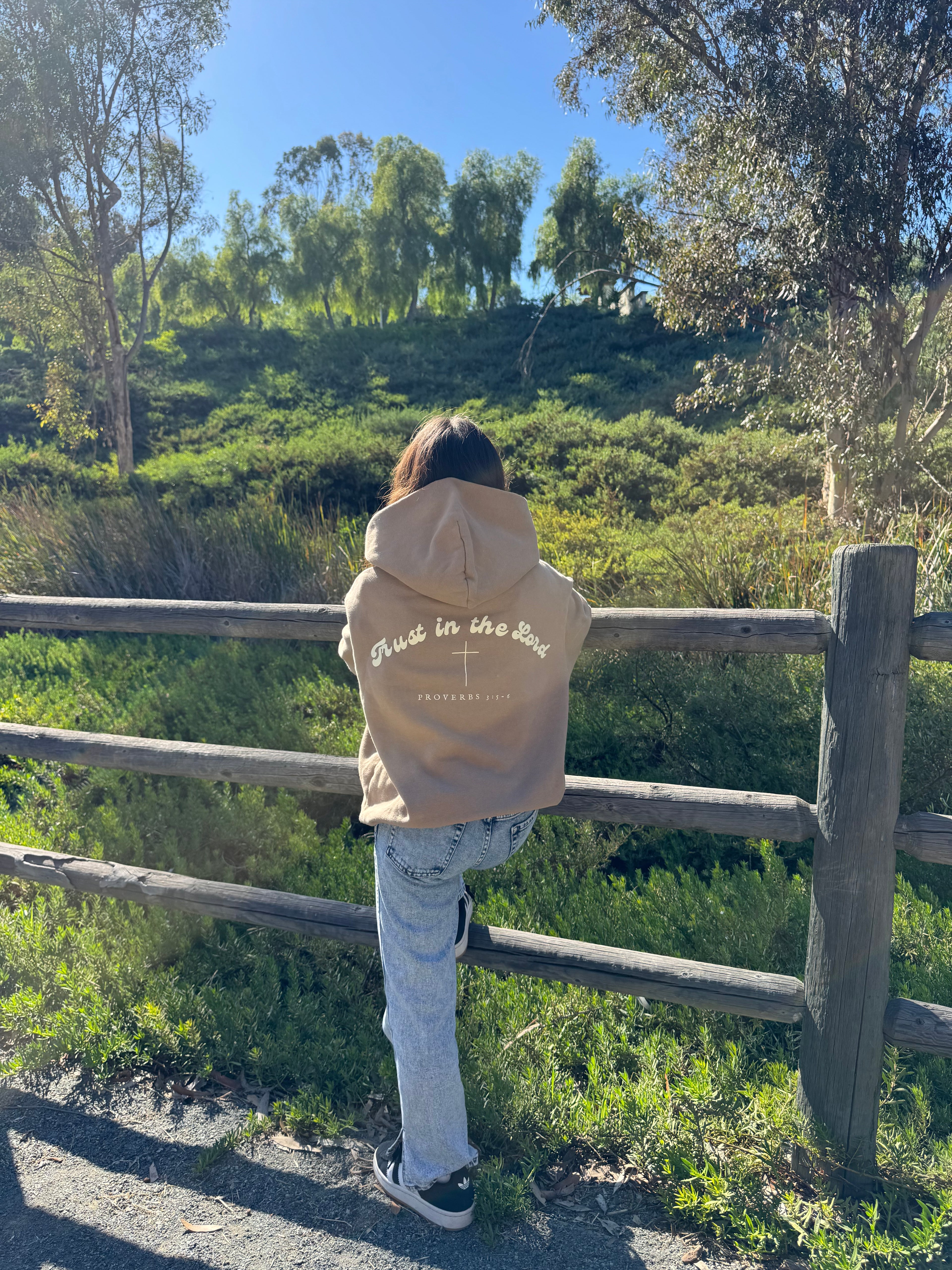 Trust In The Lord Hoodie - Christian Faith Hoodie | Inspirational Apparel